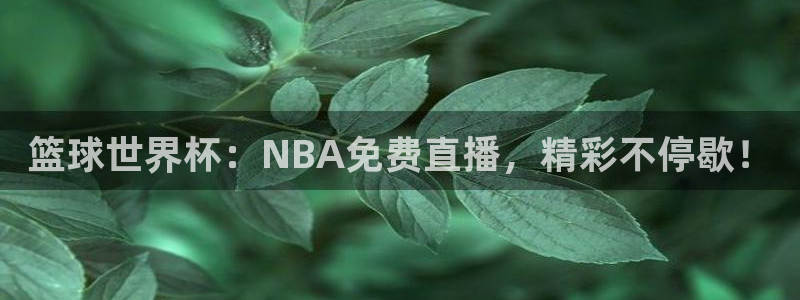 nba直播在线观看24直播网：篮球世界杯：NBA免费直播，精彩不停歇！