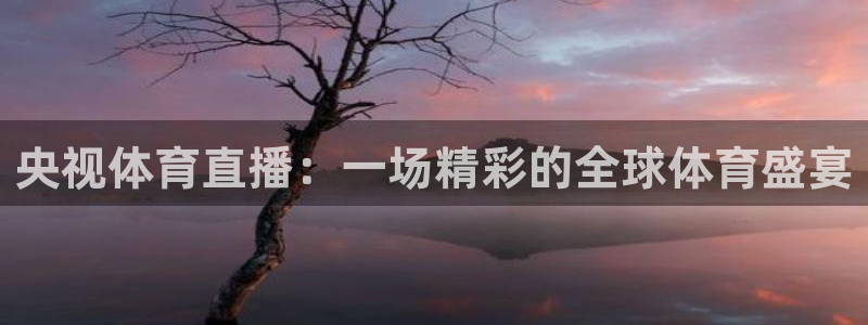足球直播24直播：央视体育直播：一场精彩的全球体育盛宴