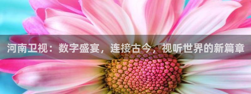 24直播网足球直播网：河南卫视：数字盛宴，连接古今，视听世界的新篇章