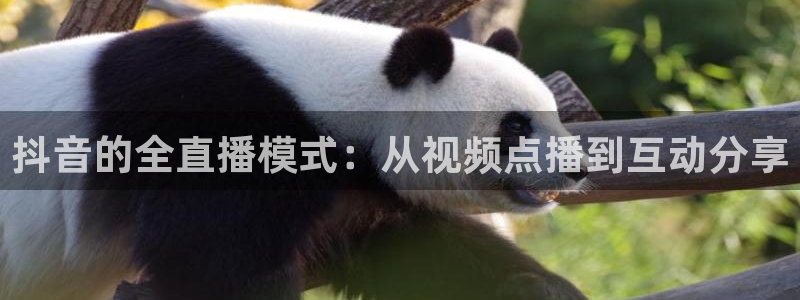 足球直播24直播网：抖音的全直播模式：从视频点播到互动分享