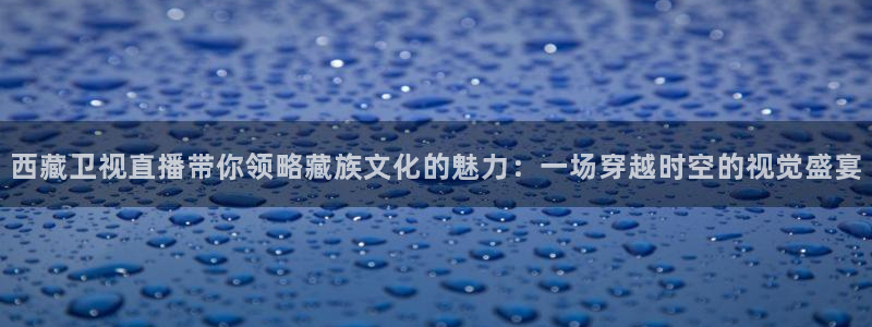 24直播网体育在线观看：西藏卫视直播带你领略藏族文化的魅力：一场穿越时空的视觉盛宴