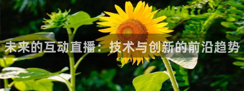 24直播网nba直播：未来的互动直播：技术与创新的前沿趋势