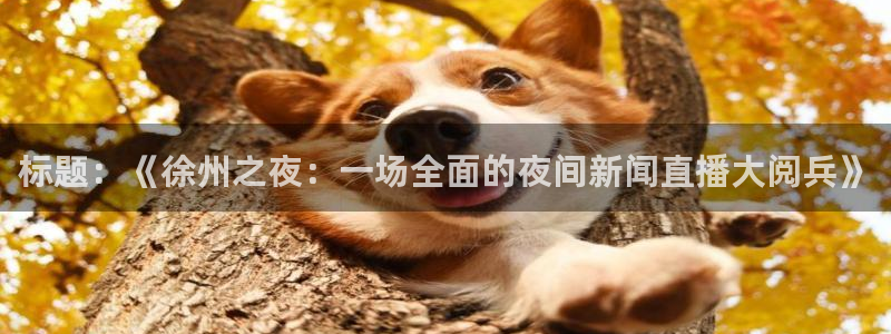 24直播网nba直播吧,足球直播五大联赛：标题：《徐州之夜：一场全面的夜间新闻直播大阅兵》