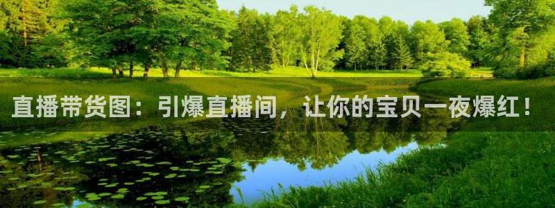24直播nba免费观看：直播带货图：引爆直播间，让你的宝贝一夜爆红！