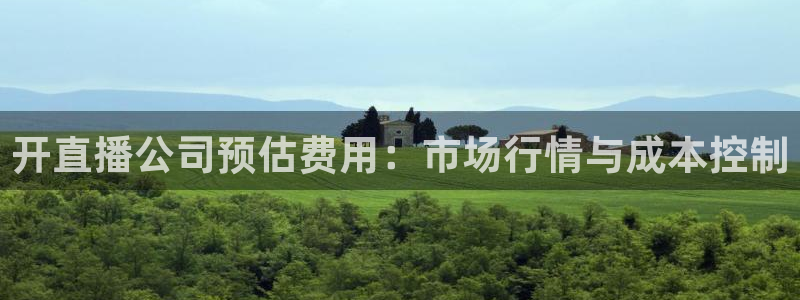 24直播网app：开直播公司预估费用：市场行情与成本控制
