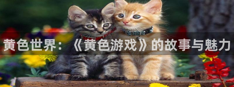 杏悦2平台测速