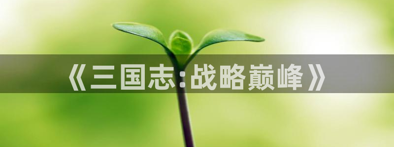 杏悦2平台官网
