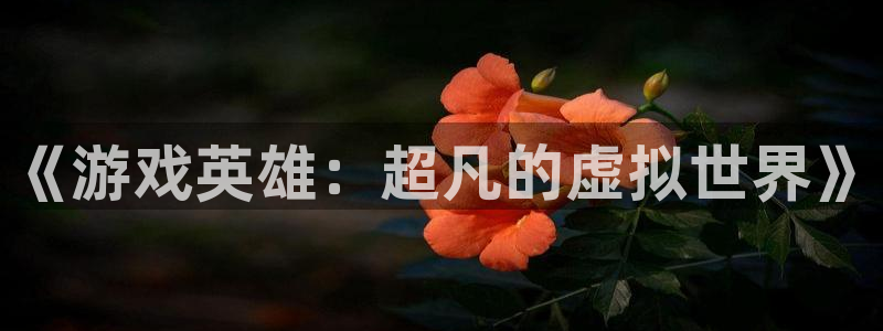 杏悦2官网登录入口