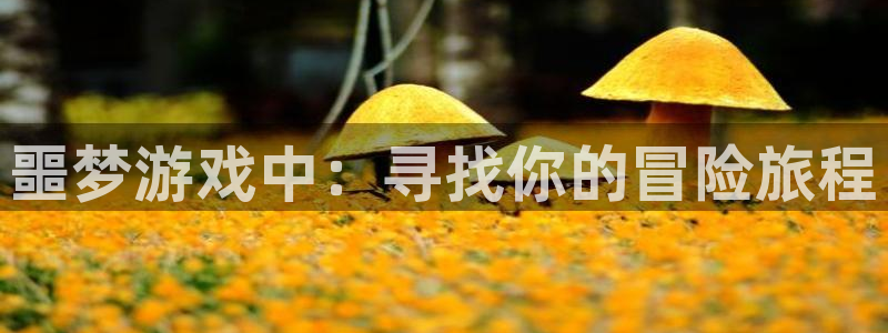 杏悦2网页登录入口