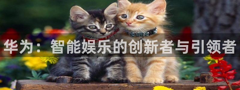 杏悦2官方最新版本更新内容是什么：华为：智能娱乐的创新者与引